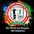 ladgacacademy.co.za
